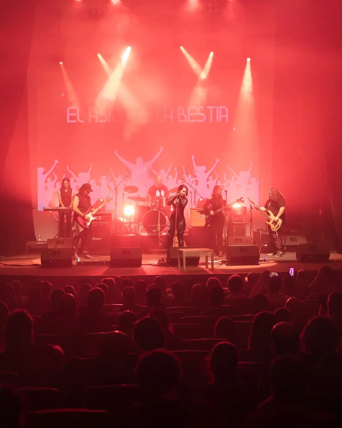 Bandas en Red
